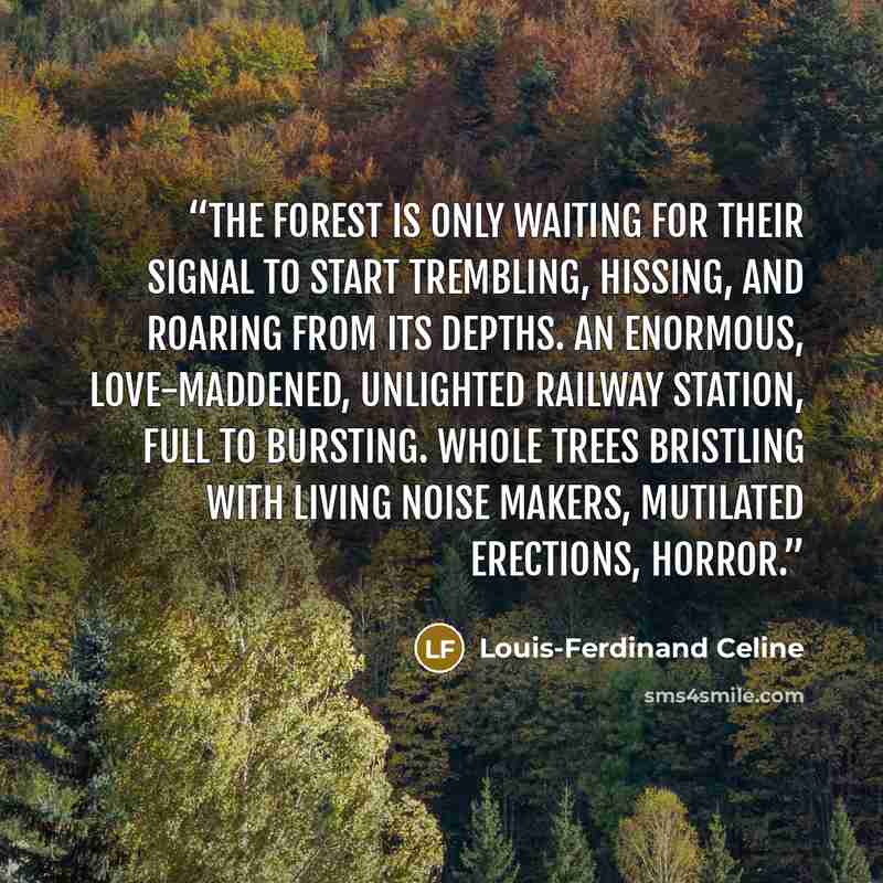 “The forest is only waiting for their signal to start trembling, hissing, and roaring from its depths. An enormous, love-maddened, unlighted railway station, full to bursting. Whole trees bristling with living noise makers, mutilated erections, horror.” quote by Louis-Ferdinand Céline
