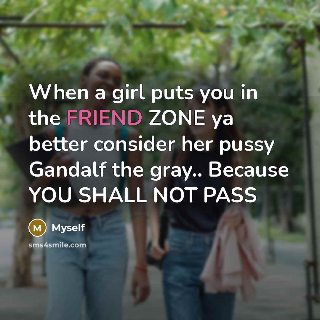 “When a girl puts you in the FRIEND ZONE ya better consider her pussy Gandalf the gray.. Because YOU SHALL NOT PASS” quote by Myself