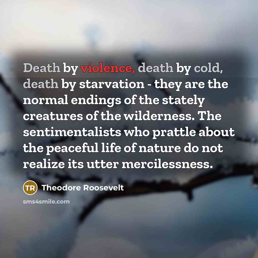 “Death by violence, death by cold, death by starvation - they are the normal endings of the stately creatures of the wilderness. The sentimentalists who prattle about the peaceful life of nature do not realize its utter mercilessness.” quote by Theodore Roosevelt