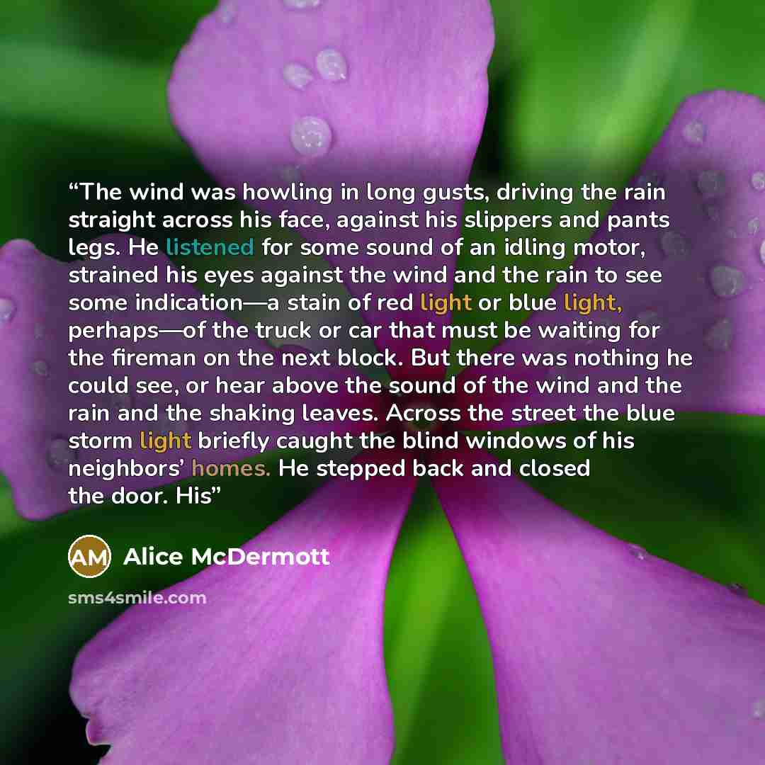“The wind was howling in long gusts, driving the rain straight across his face, against his slippers and pants legs. He listened for some sound of an idling motor, strained his eyes against the wind and the rain to see some indication—a stain of red light or blue light, perhaps—of the truck or car…” quote by Alice McDermott