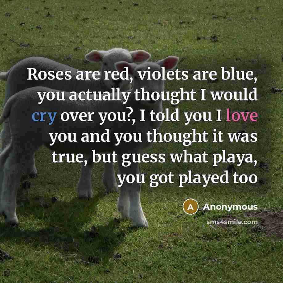 “Roses are red, violets are blue, you actually thought I would cry over you?, I told you I love you and you thought it was true, but guess what playa, you got played too” quote by Anonymous