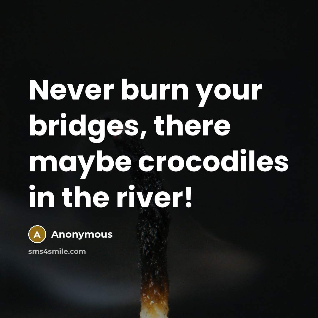 “Never burn your bridges, there maybe crocodiles in the river!” quote by Anonymous