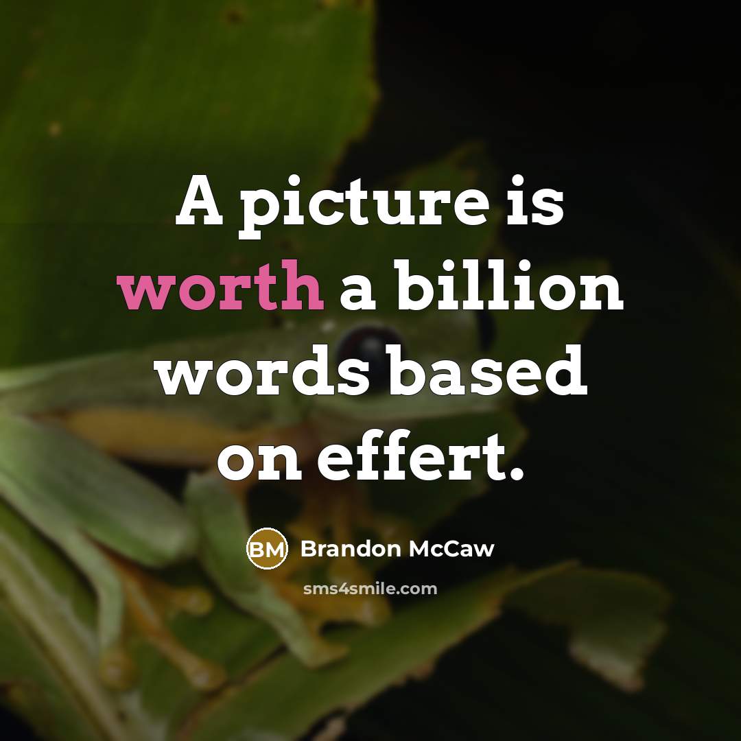 “A picture is worth a billion words based on effert.” quote by Brandon McCaw