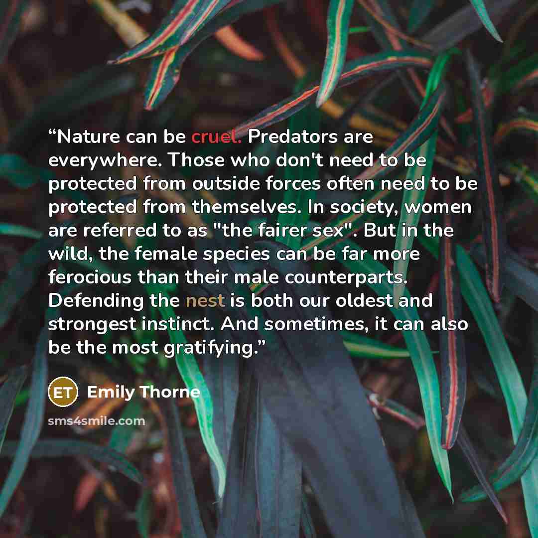 “Nature can be cruel. Predators are everywhere. Those who don't need to be protected from outside forces often need to be protected from themselves. In society, women are referred to as "the fairer sex". But in the wild, the female species can be far more ferocious than their male counterparts…” quote by Emily Thorne