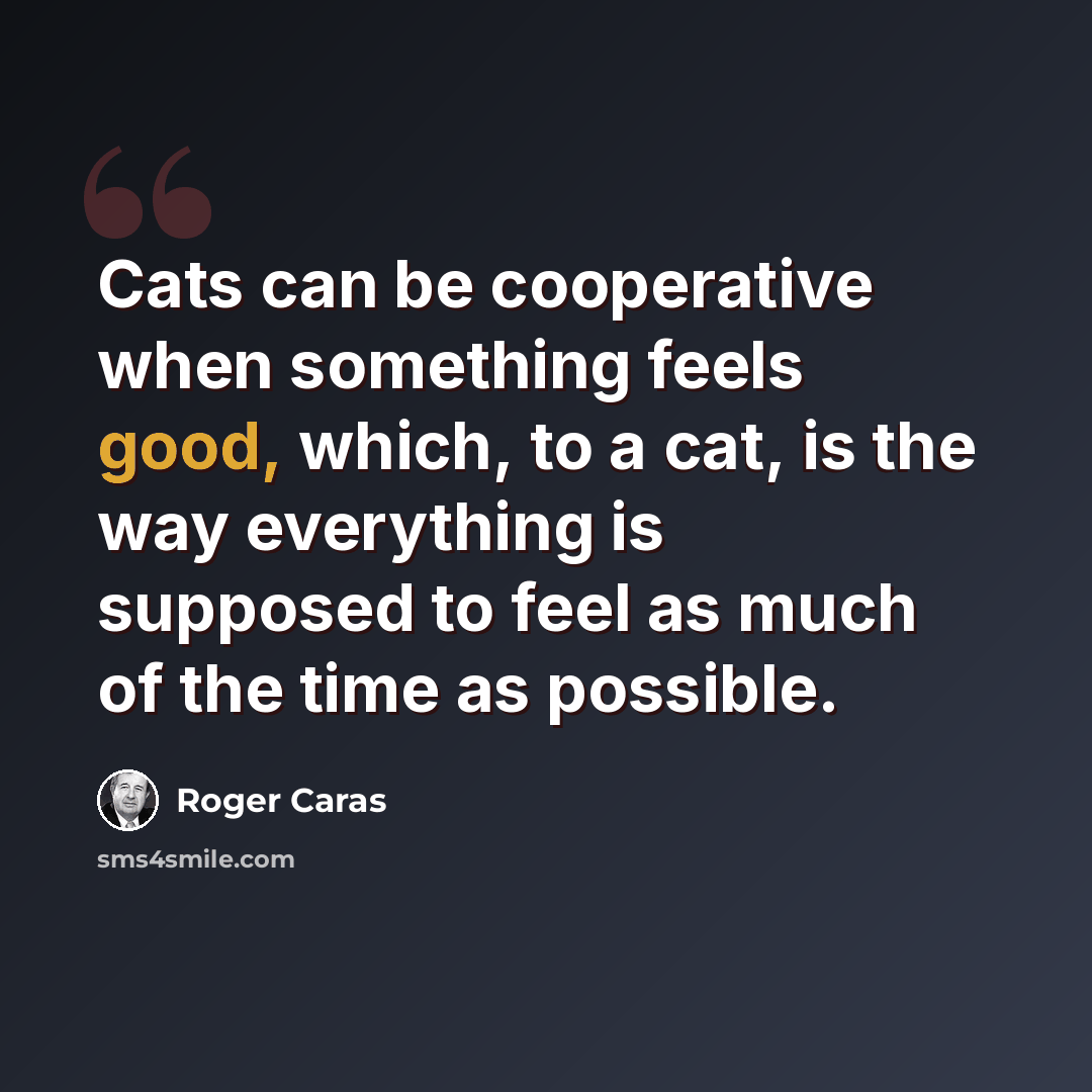 “Cats can be cooperative when something feels good, which, to a cat, is the way everything is supposed to feel as much of the time as possible.” quote by Roger Caras