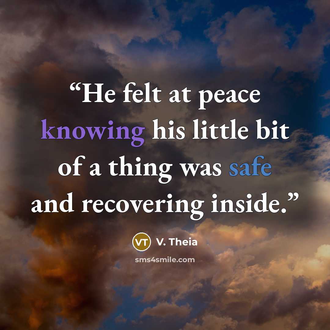 “He felt at peace knowing his little bit of a thing was safe and recovering inside.” quote by V. Theia