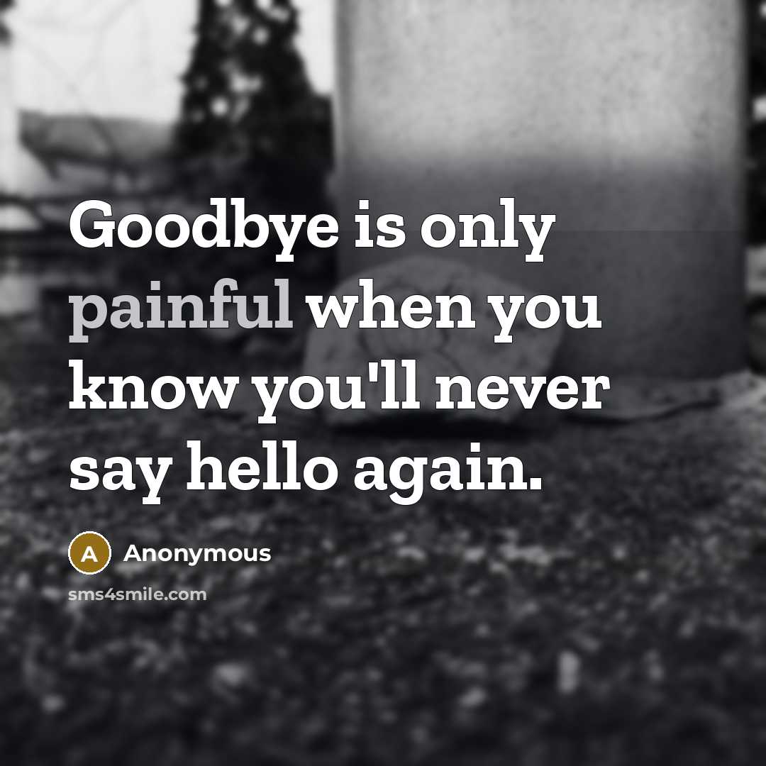 “Goodbye is only painful when you know you'll never say hello again.” quote by Anonymous