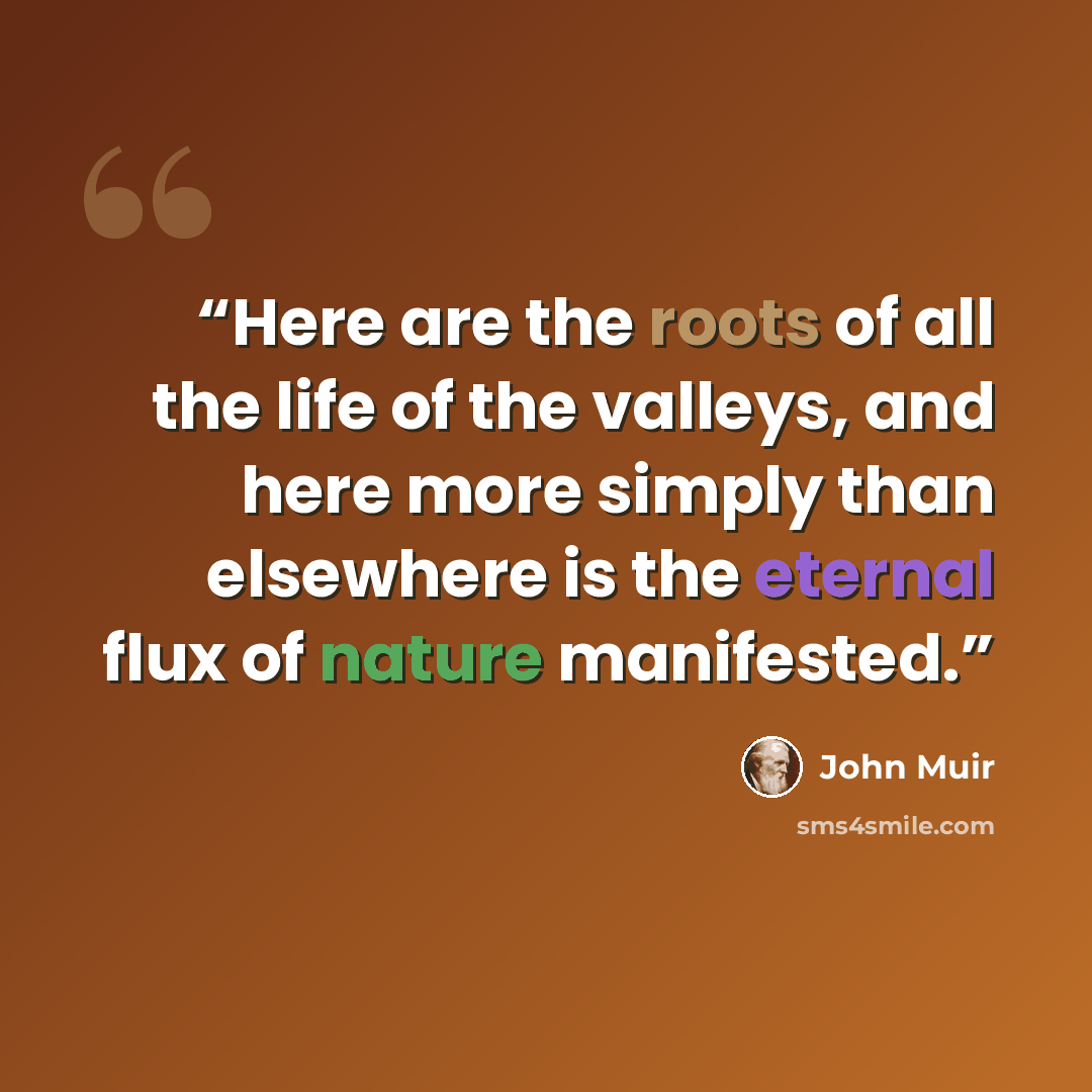 “Here are the roots of all the life of the valleys, and here more simply than elsewhere is the eternal flux of nature manifested.” quote by John Muir