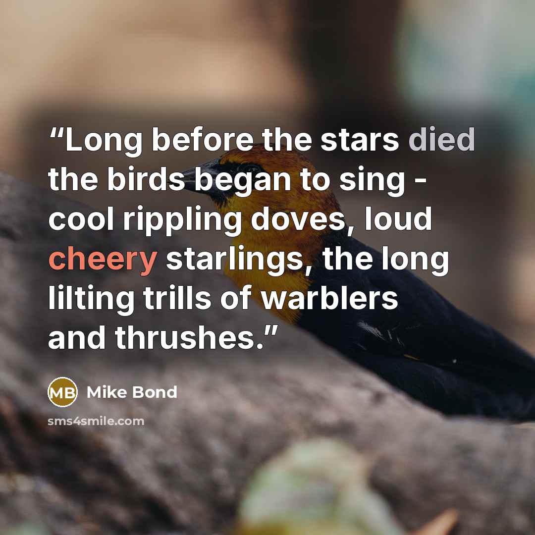“Long before the stars died the birds began to sing - cool rippling doves, loud cheery starlings, the long lilting trills of warblers and thrushes.” quote by Mike Bond