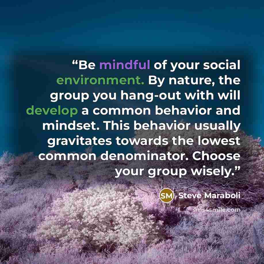 “Be mindful of your social environment. By nature, the group you hang-out with will develop a common behavior and mindset. This behavior usually gravitates towards the lowest common denominator. Choose your group wisely.” quote by Steve Maraboli