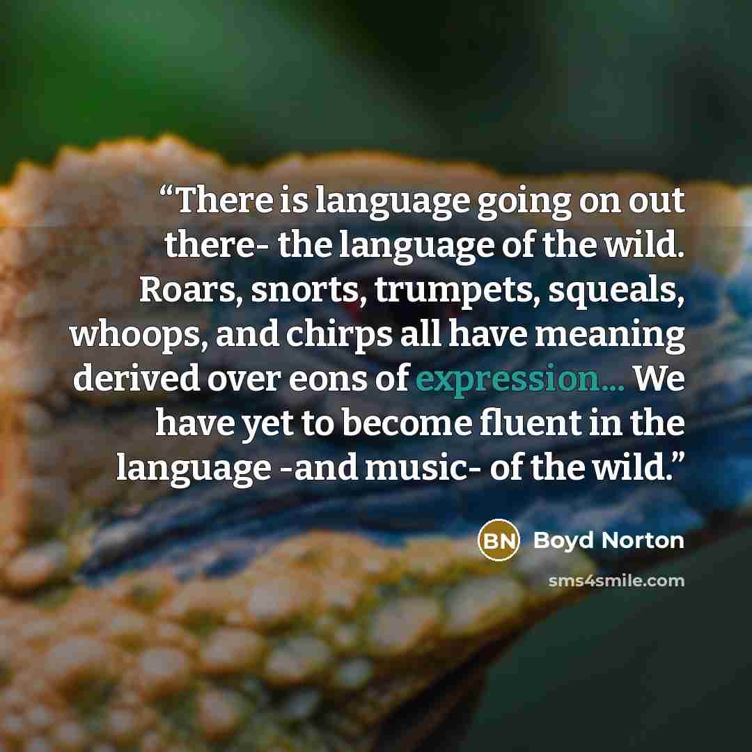 “There is language going on out there- the language of the wild. Roars, snorts, trumpets, squeals, whoops, and chirps all have meaning derived over eons of expression... We have yet to become fluent in the language -and music- of the wild.” quote by Boyd Norton