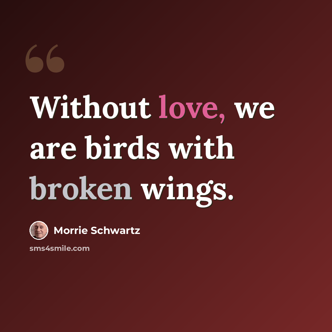 “Without love, we are birds with broken wings.” quote by Morrie Schwartz
