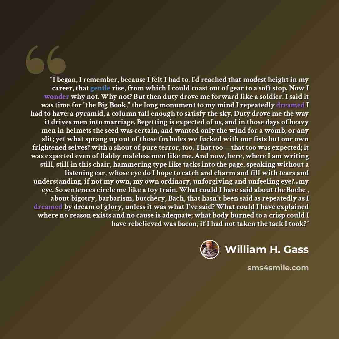 “I began, I remember, because I felt I had to. I'd reached that modest height in my career, that gentle rise, from which I could coast out of gear to a soft stop. Now I wonder why not. Why not? But then duty drove me forward like a soldier. I said it was time for "the Big Book," the long monument…” quote by William H. Gass