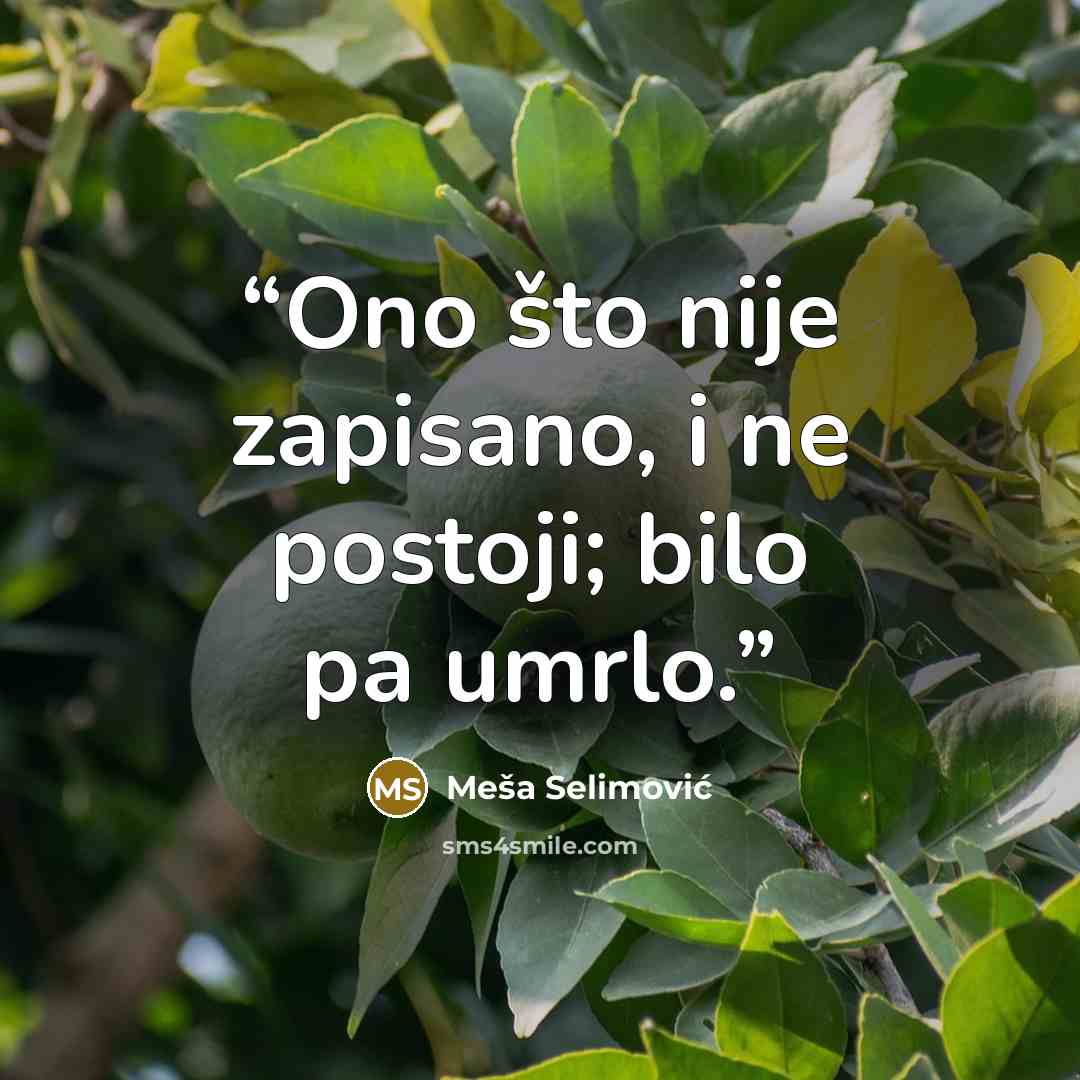 “Ono što nije zapisano, i ne postoji; bilo pa umrlo.” quote by Mesa Selimovic