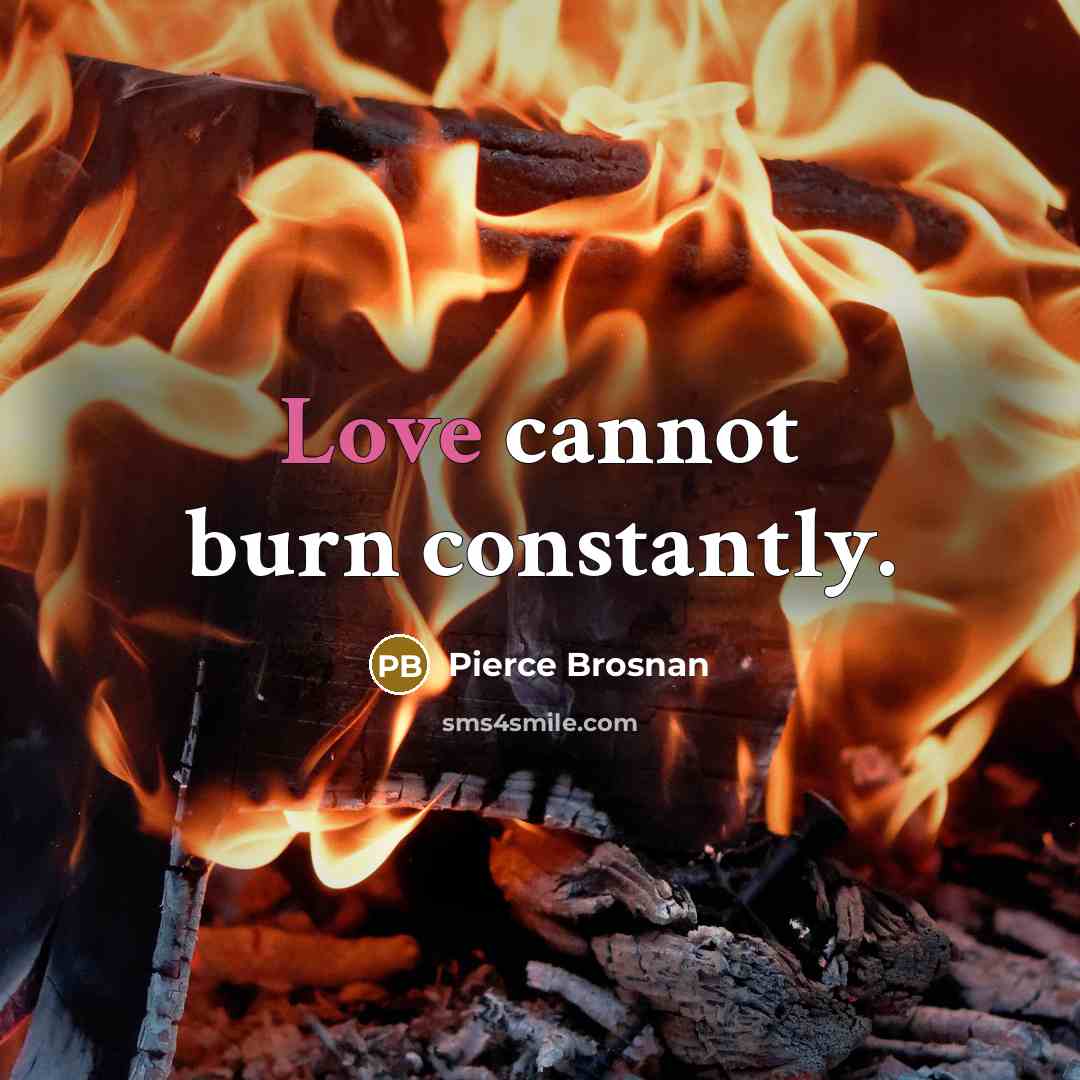 “Love cannot burn constantly.” quote by Pierce Brosnan