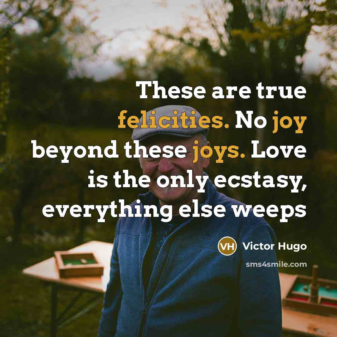 “These are true felicities. No joy beyond these joys. Love is the only ecstasy, everything else weeps” quote by Victor Hugo
