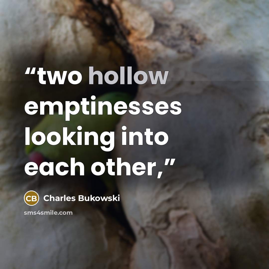 “two hollow emptinesses looking into each other,” quote by Charles Bukowski