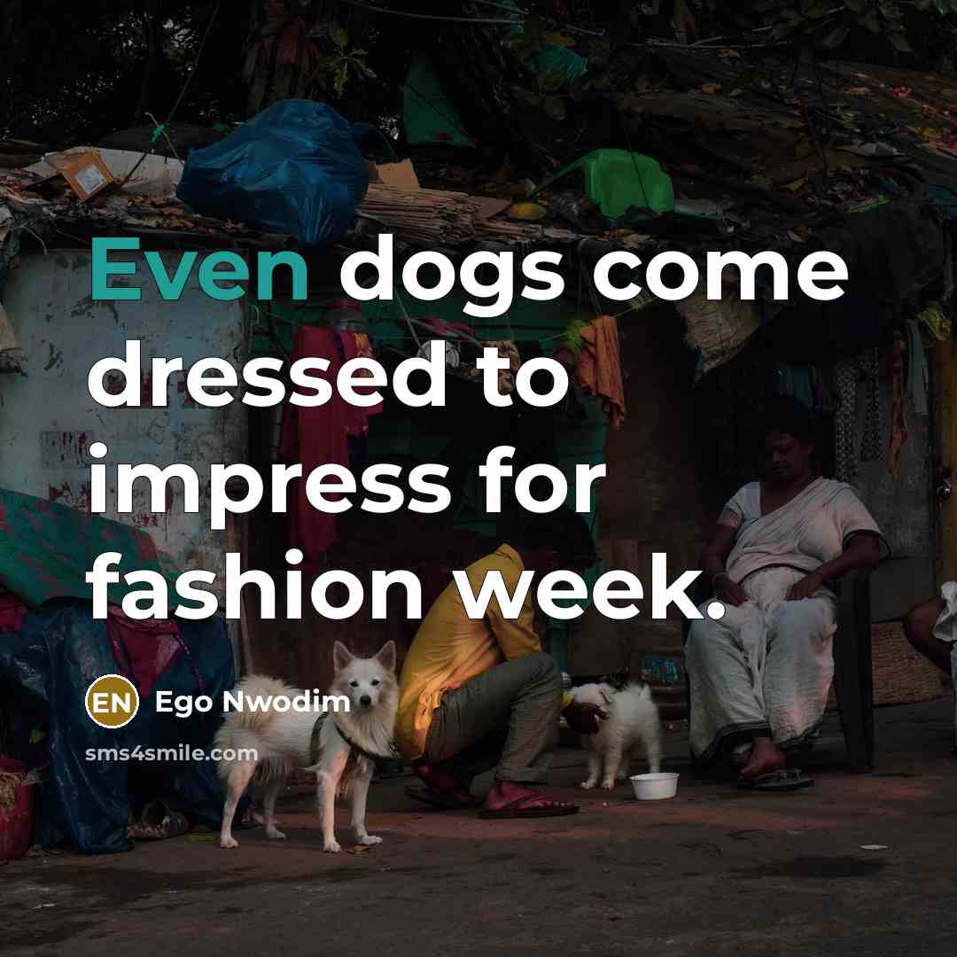 “Even dogs come dressed to impress for fashion week.” quote by Ego Nwodim