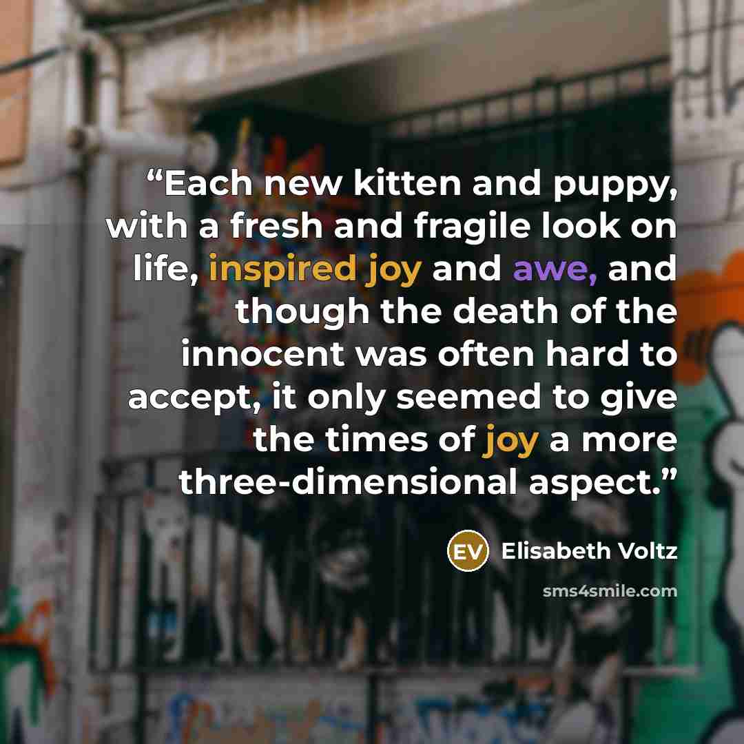 “Each new kitten and puppy, with a fresh and fragile look on life, inspired joy and awe, and though the death of the innocent was often hard to accept, it only seemed to give the times of joy a more three-dimensional aspect.” quote by Elisabeth Voltz