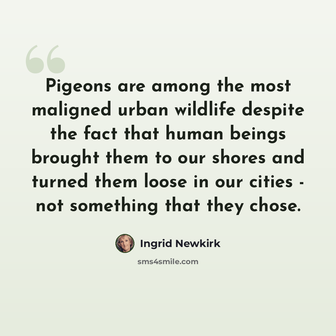 “Pigeons are among the most maligned urban wildlife despite the fact that human beings brought them to our shores and turned them loose in our cities - not something that they chose.” quote by Ingrid Newkirk