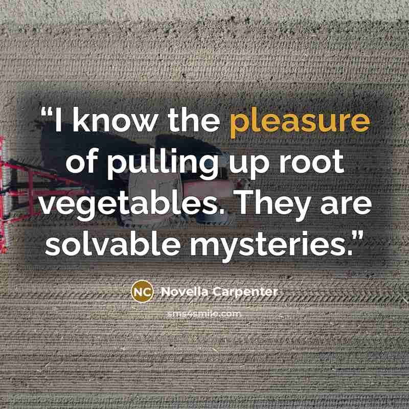 “I know the pleasure of pulling up root vegetables. They are solvable mysteries.” quote by Novella Carpenter
