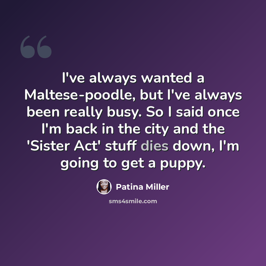 “I've always wanted a Maltese-poodle, but I've always been really busy. So I said once I'm back in the city and the 'Sister Act' stuff dies down, I'm going to get a puppy.” quote by Patina Miller