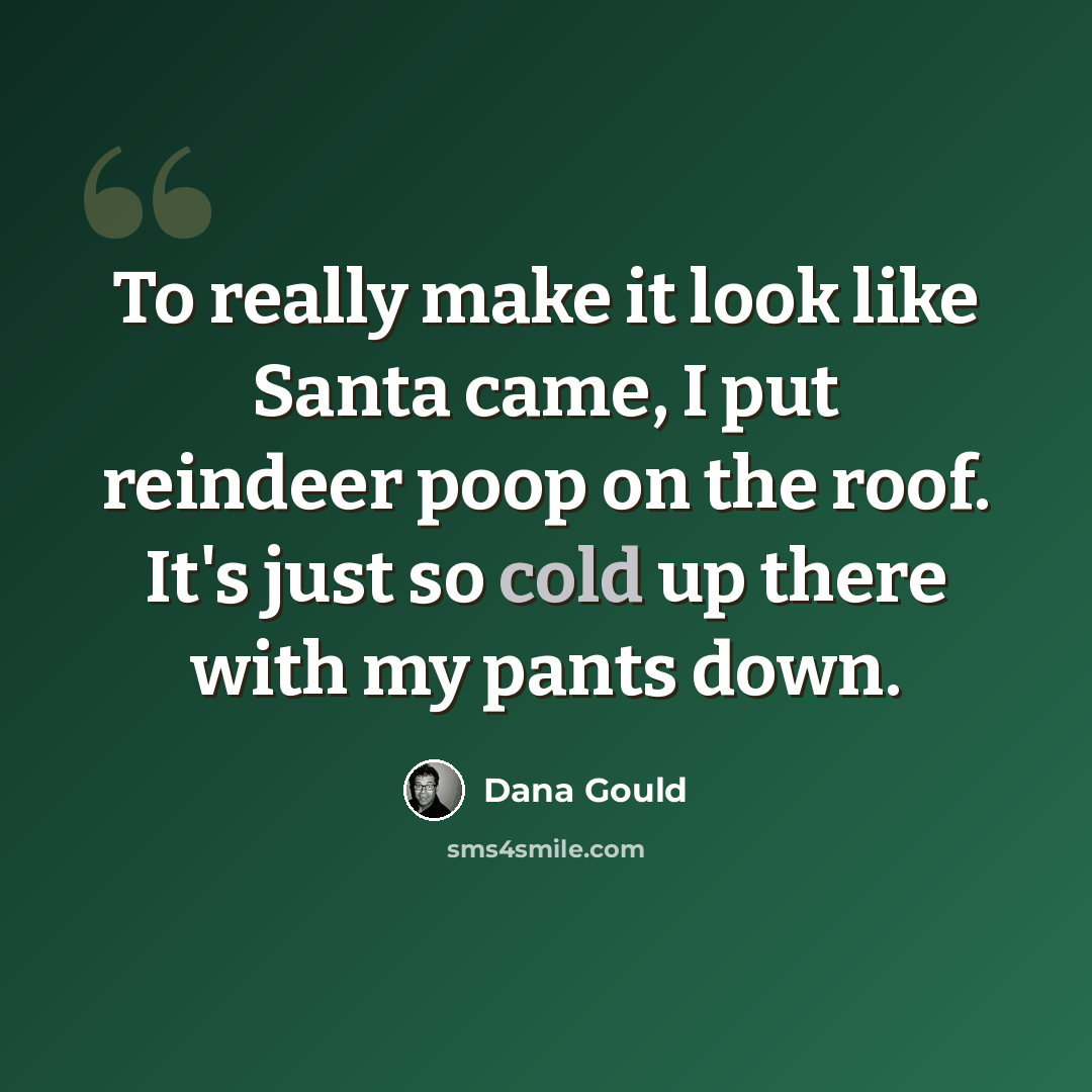 “To really make it look like Santa came, I put reindeer poop on the roof. It's just so cold up there with my pants down.” quote by Dana Gould