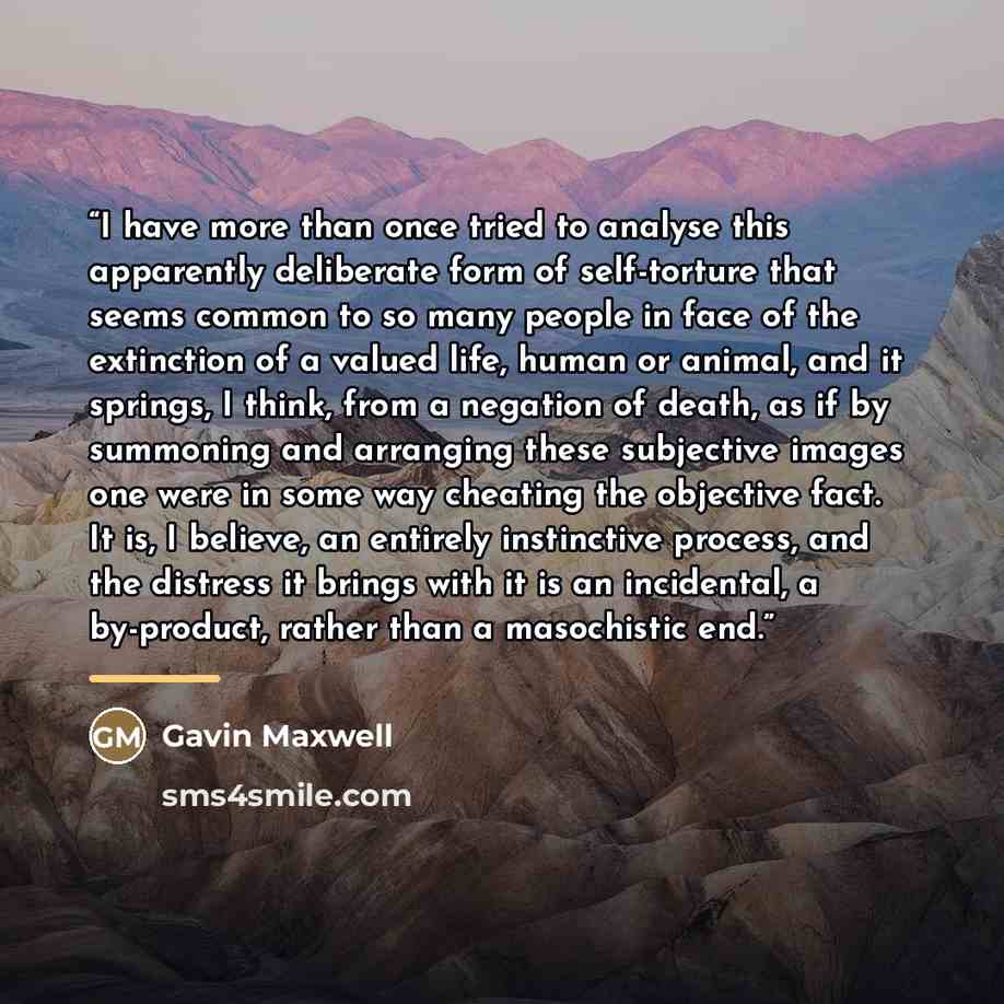 “I have more than once tried to analyse this apparently deliberate form of self-torture that seems common to so many people in face of the extinction of a valued life, human or animal, and it springs, I think, from a negation of death, as if by summoning and arranging these subjective images one…” quote by Gavin Maxwell