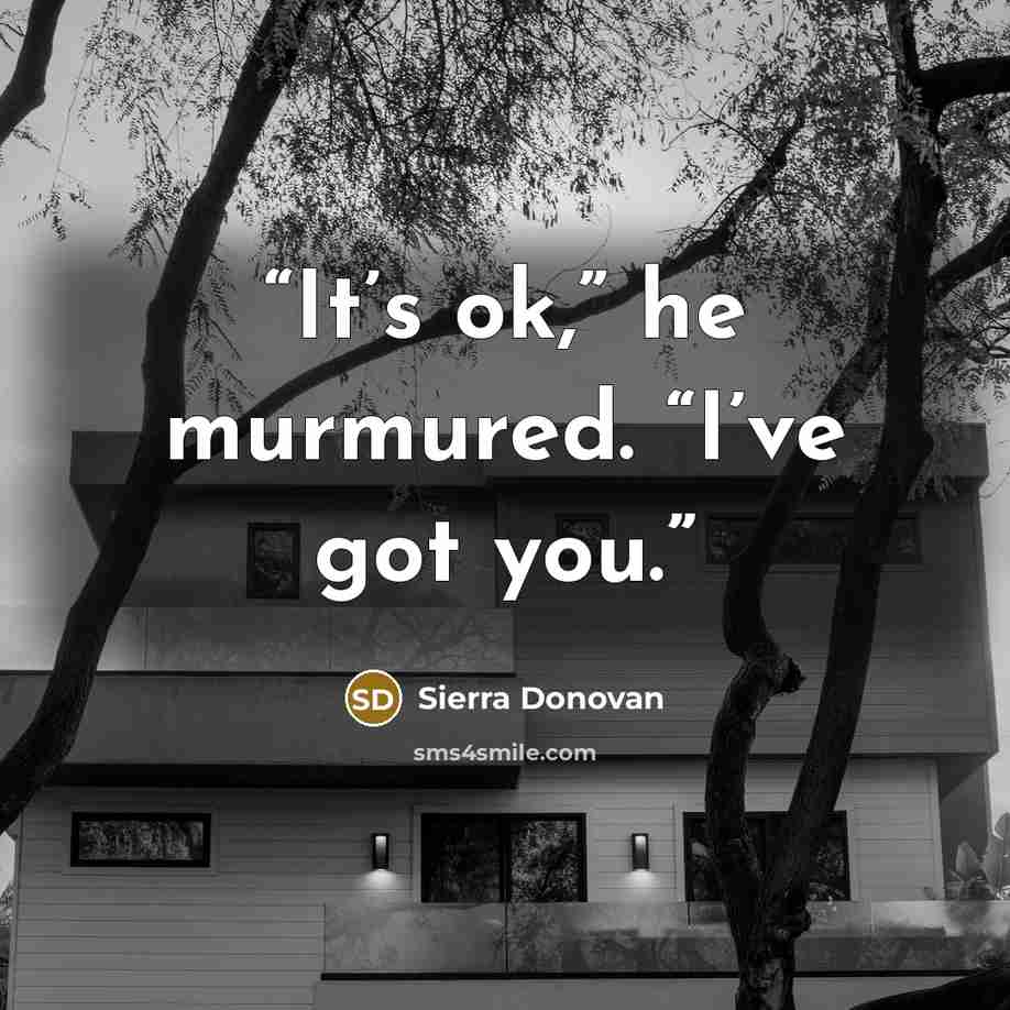 “It’s ok,” he murmured. “I’ve got you.” quote by Sierra Donovan