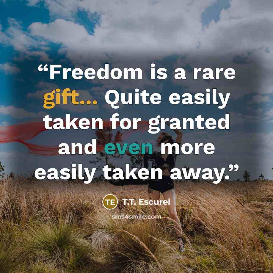 “Freedom is a rare gift... Quite easily taken for granted and even more easily taken away.” quote by T.T. Escurel