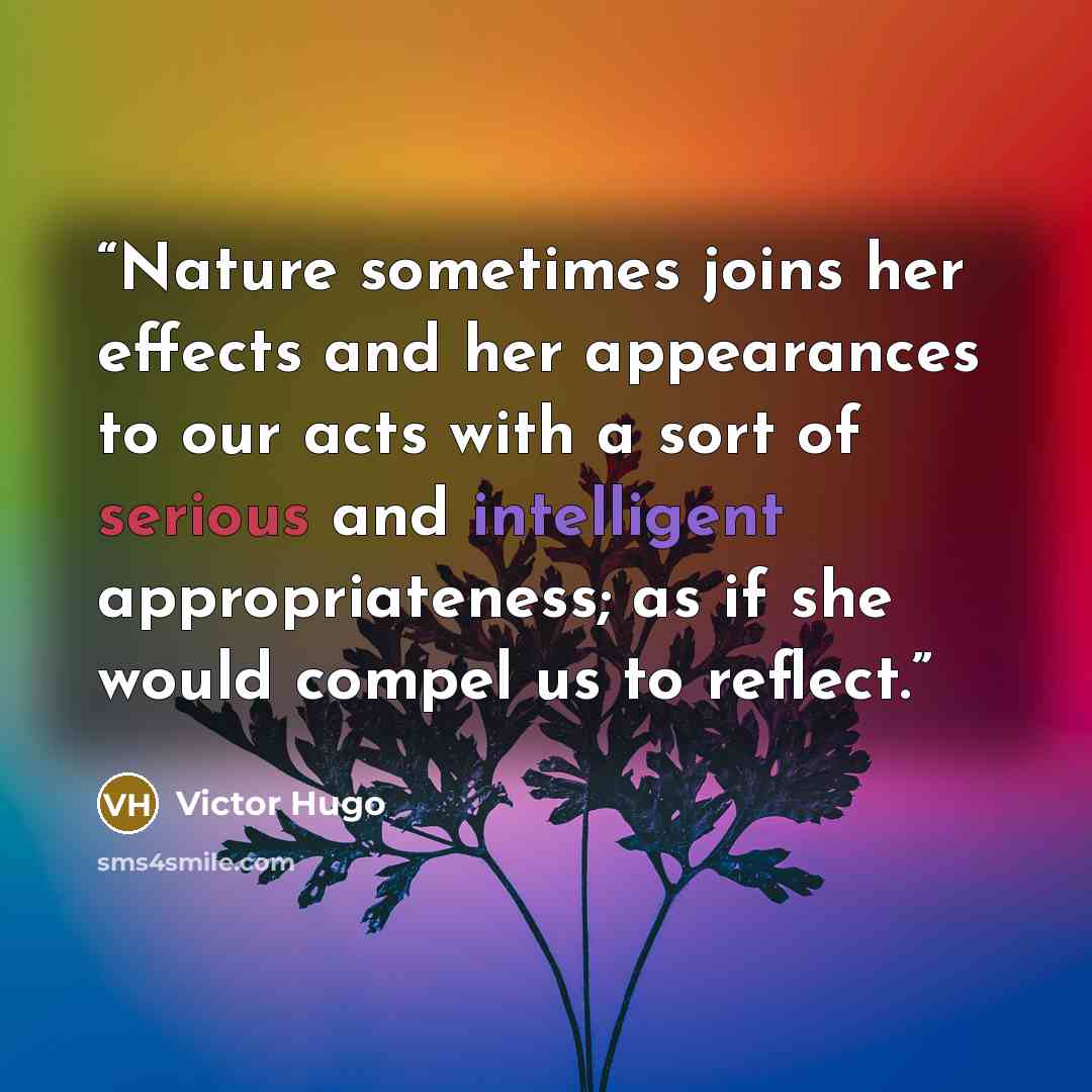 “Nature sometimes joins her effects and her appearances to our acts with a sort of serious and intelligent appropriateness; as if she would compel us to reflect.” quote by Victor Hugo