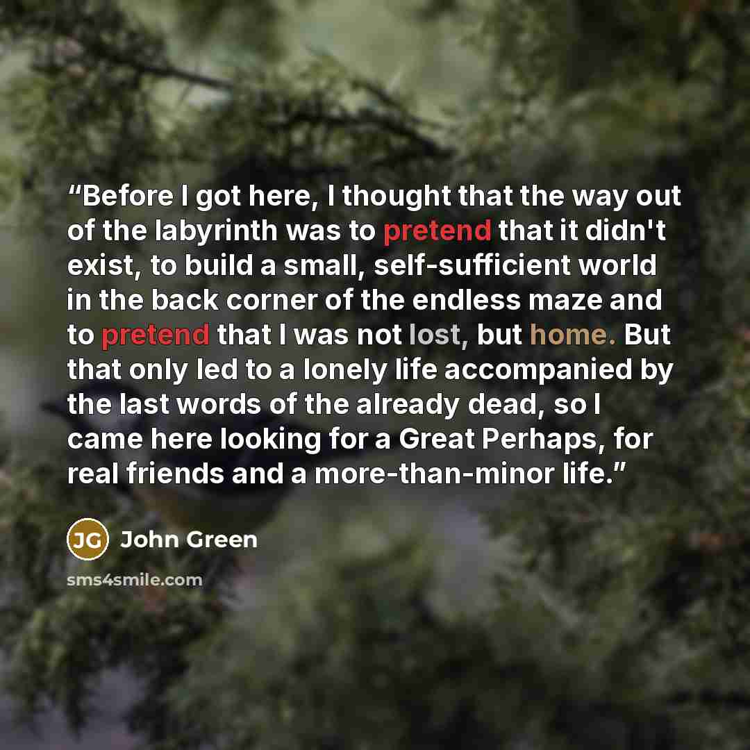 “Before I got here, I thought that the way out of the labyrinth was to pretend that it didn't exist, to build a small, self-sufficient world in the back corner of the endless maze and to pretend that I was not lost, but home. But that only led to a lonely life accompanied by the last words of the…” quote by John Green