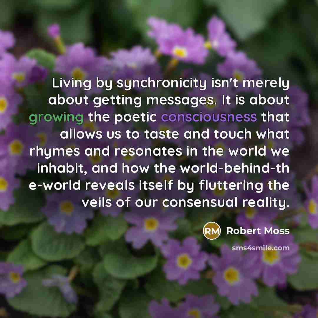 “Living by synchronicity isn't merely about getting messages. It is about growing the poetic consciousness that allows us to taste and touch what rhymes and resonates in the world we inhabit, and how the world-behind-th e-world reveals itself by fluttering the veils of our consensual reality.” quote by Robert Moss