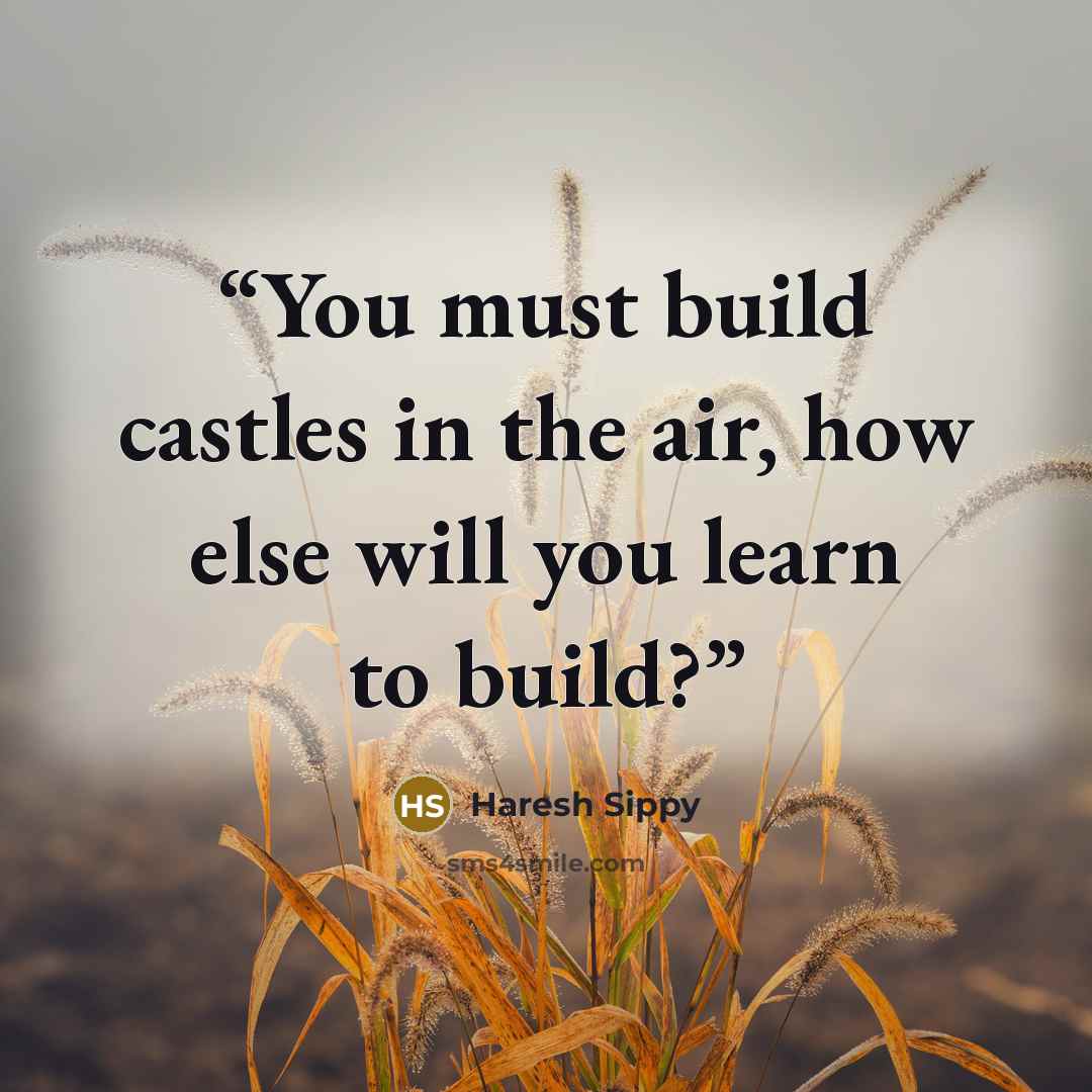 “You must build castles in the air, how else will you learn to build?” quote by Haresh Sippy