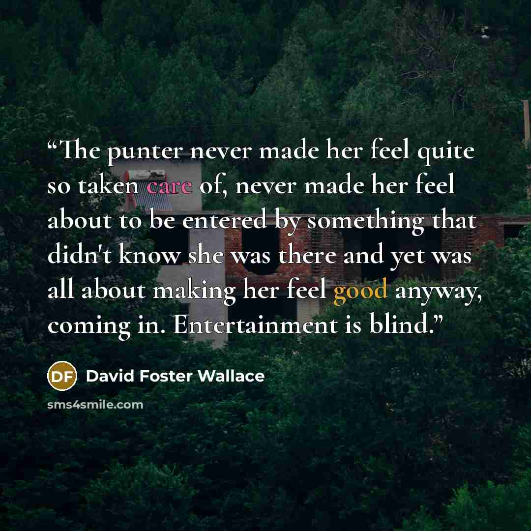 “The punter never made her feel quite so taken care of, never made her feel about to be entered by something that didn't know she was there and yet was all about making her feel good anyway, coming in. Entertainment is blind.” quote by David Foster Wallace