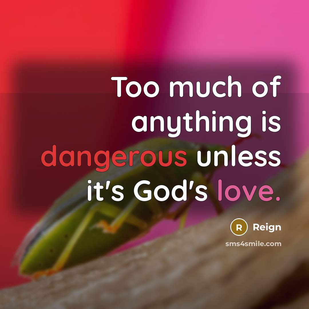 “Too much of anything is dangerous unless it's God's love.” quote by Reign