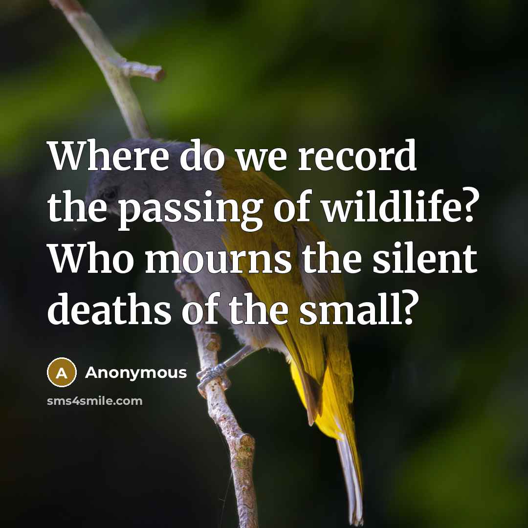 “Where do we record the passing of wildlife? Who mourns the silent deaths of the small?” quote by Anonymous