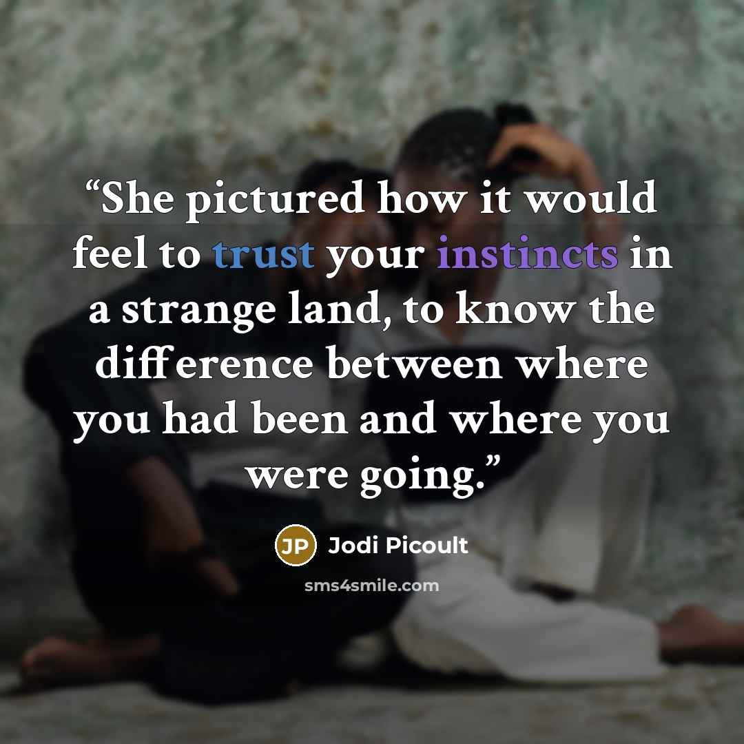 “She pictured how it would feel to trust your instincts in a strange land, to know the difference between where you had been and where you were going.” quote by Jodi Picoult