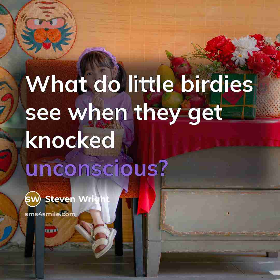 “What do little birdies see when they get knocked unconscious?” quote by Steven Wright