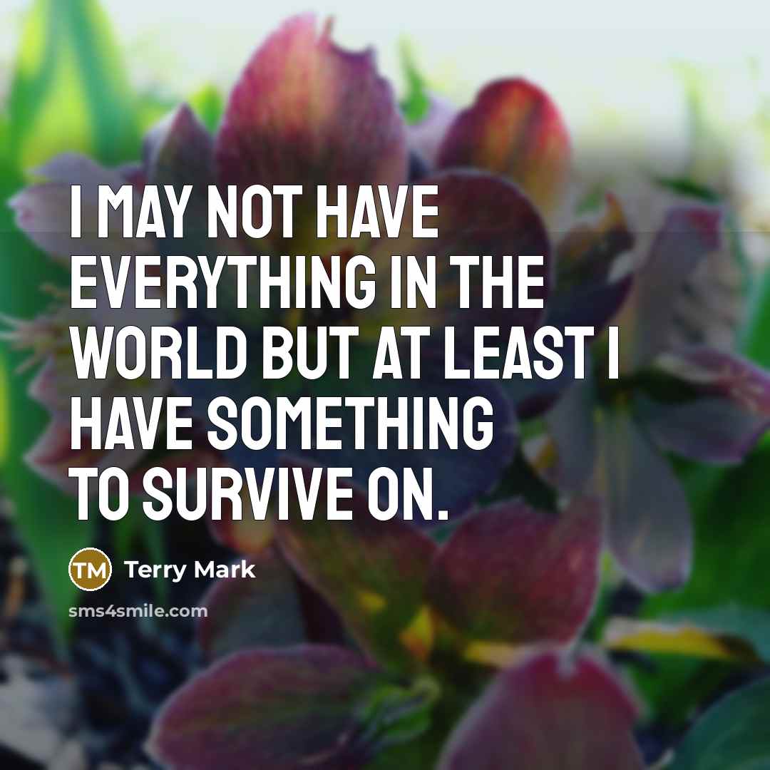 “I may not have everything in the world but at least I have something to survive on.” quote by Terry Mark