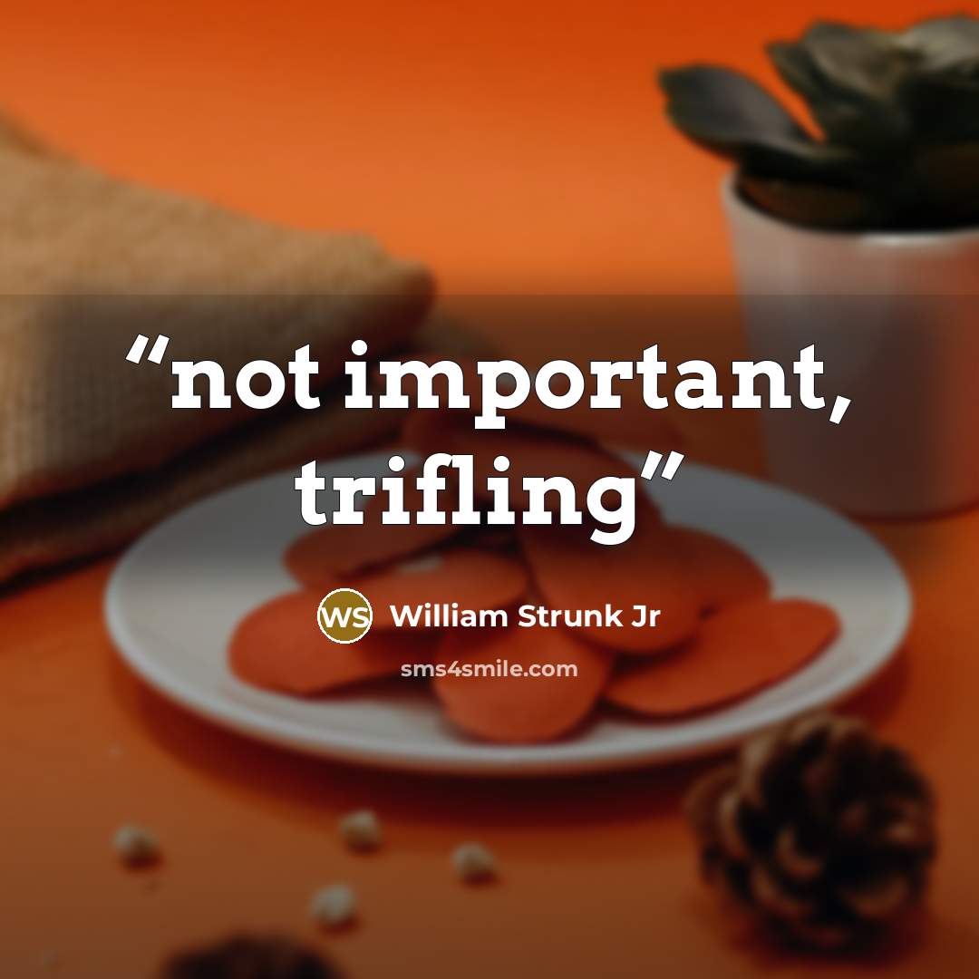 “not important, trifling” quote by William Strunk Jr