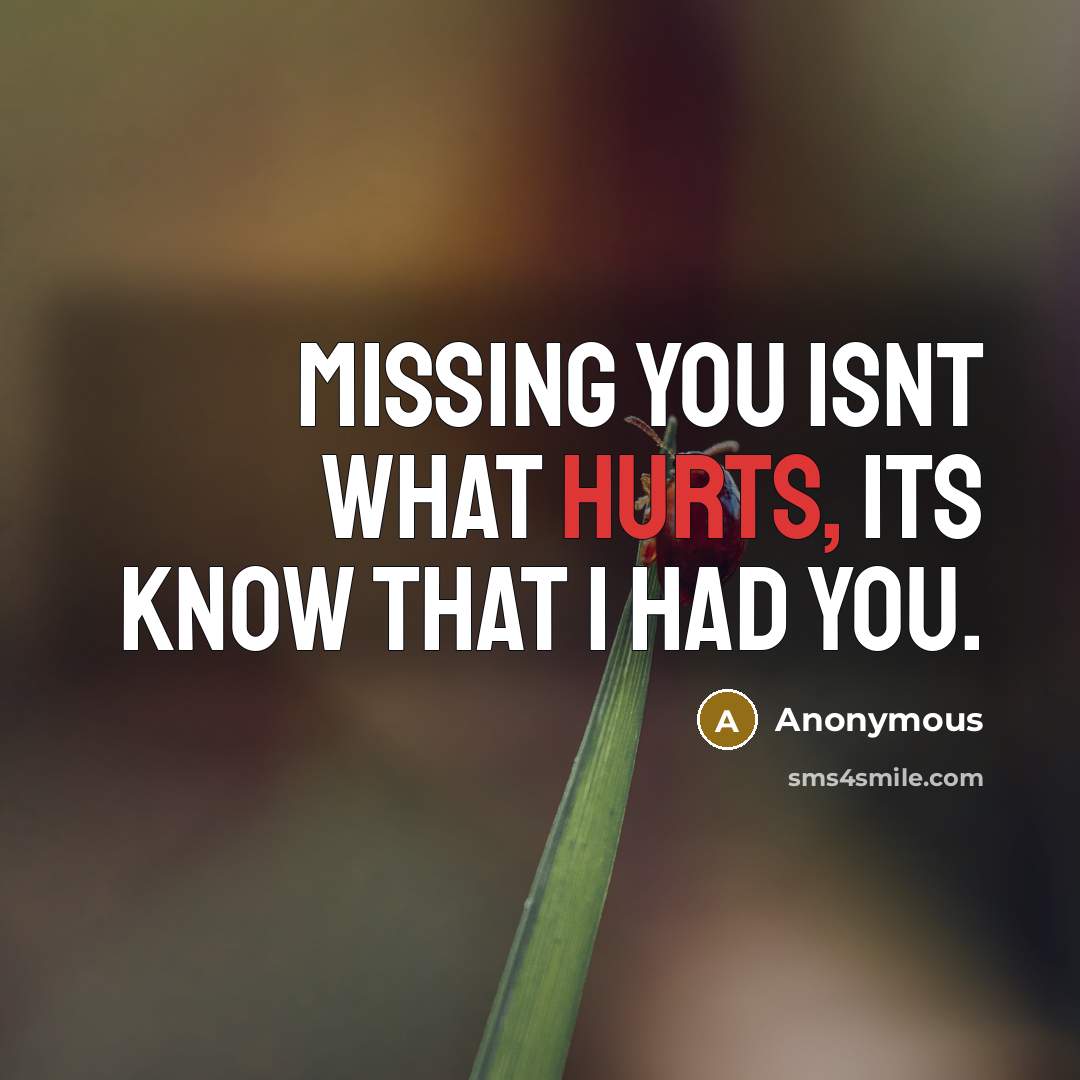 “Missing you isnt what hurts, its know that I had you.” quote by Anonymous