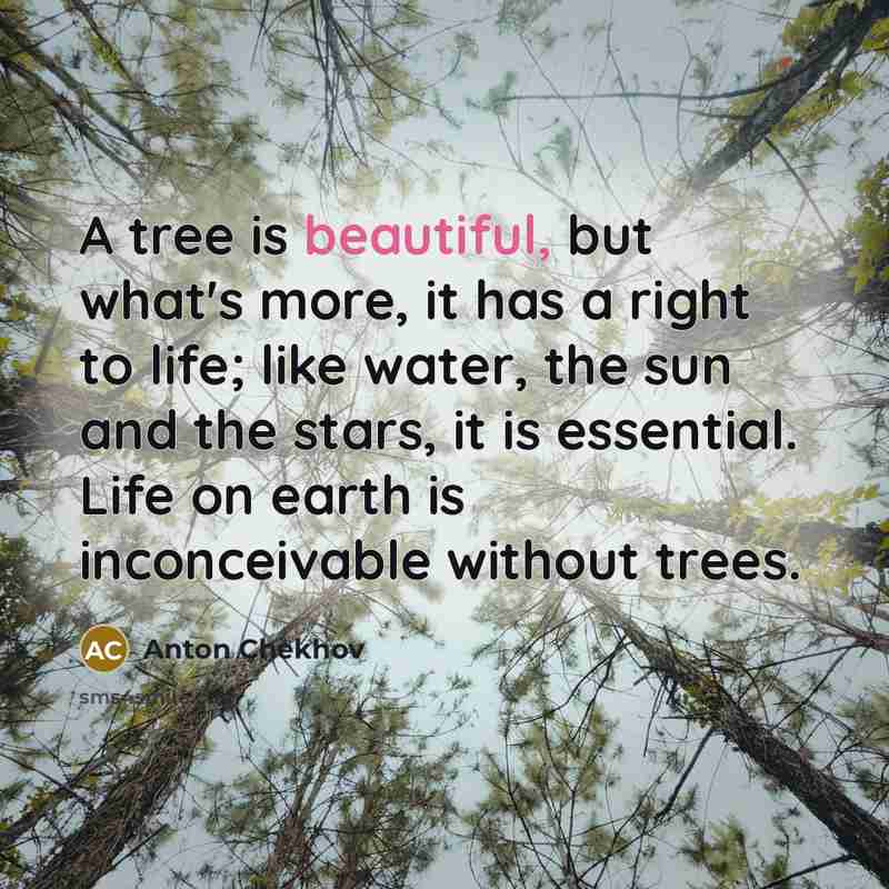 “A tree is beautiful, but what's more, it has a right to life; like water, the sun and the stars, it is essential. Life on earth is inconceivable without trees.” quote by Anton Chekhov