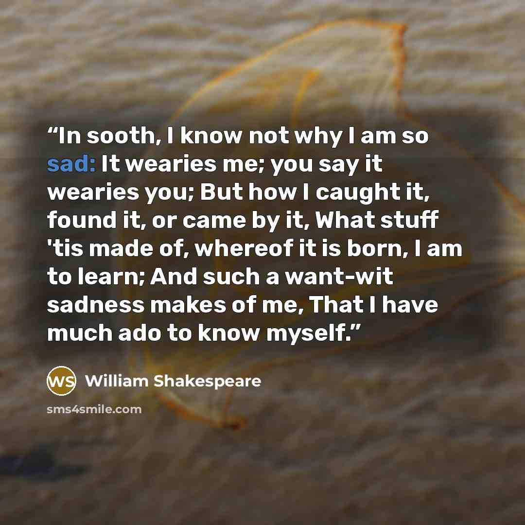 “In sooth, I know not why I am so sad: It wearies me; you say it wearies you; But how I caught it, found it, or came by it, What stuff 'tis made of, whereof it is born, I am to learn; And such a want-wit sadness makes of me, That I have much ado to know myself.” quote by William Shakespeare