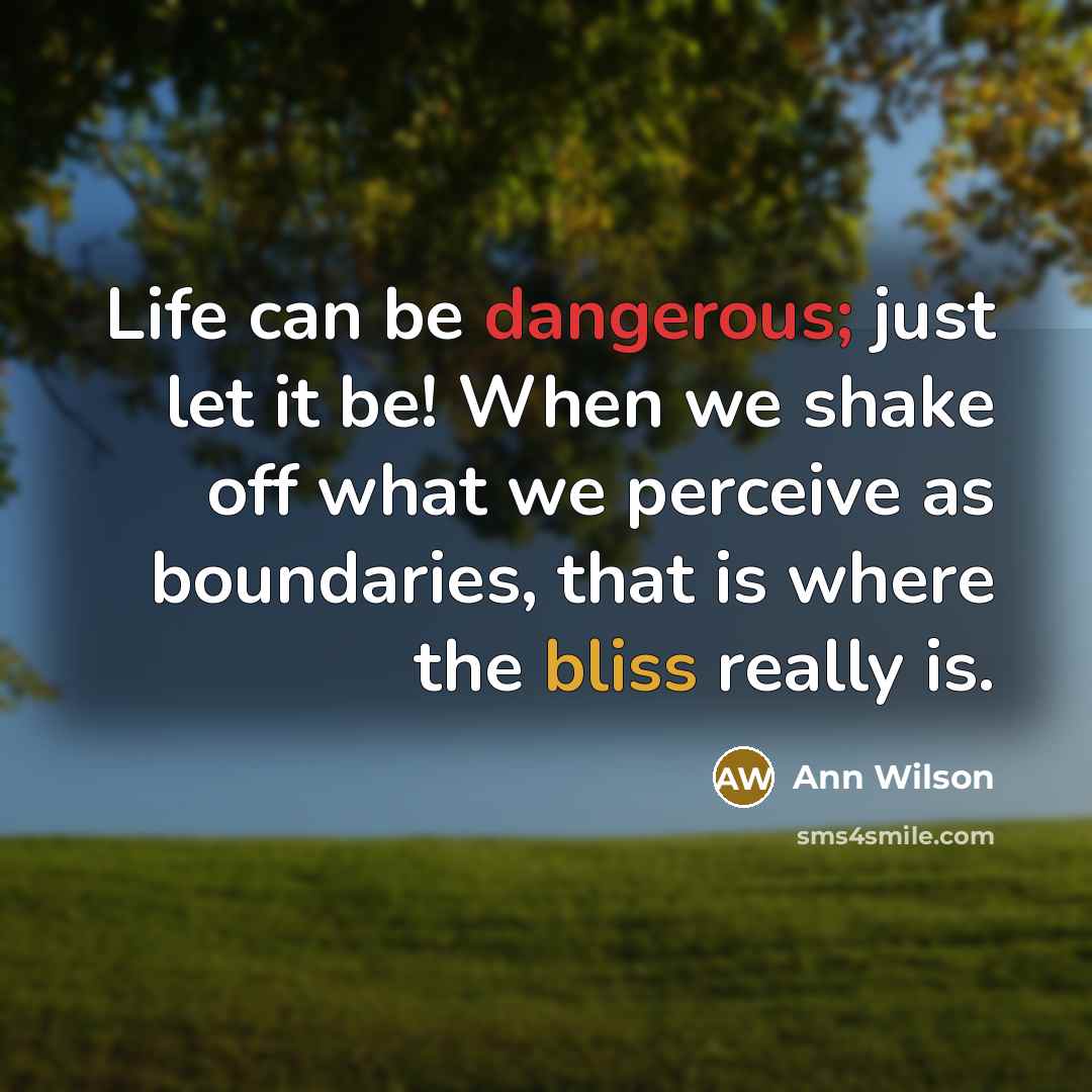 “Life can be dangerous; just let it be! When we shake off what we perceive as boundaries, that is where the bliss really is.” quote by Ann Wilson