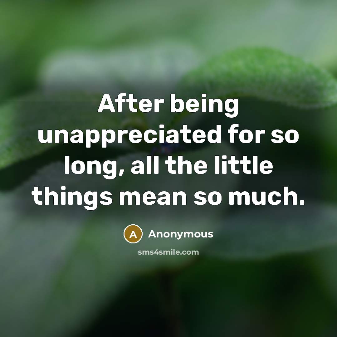 “After being unappreciated for so long, all the little things mean so much.” quote by Anonymous