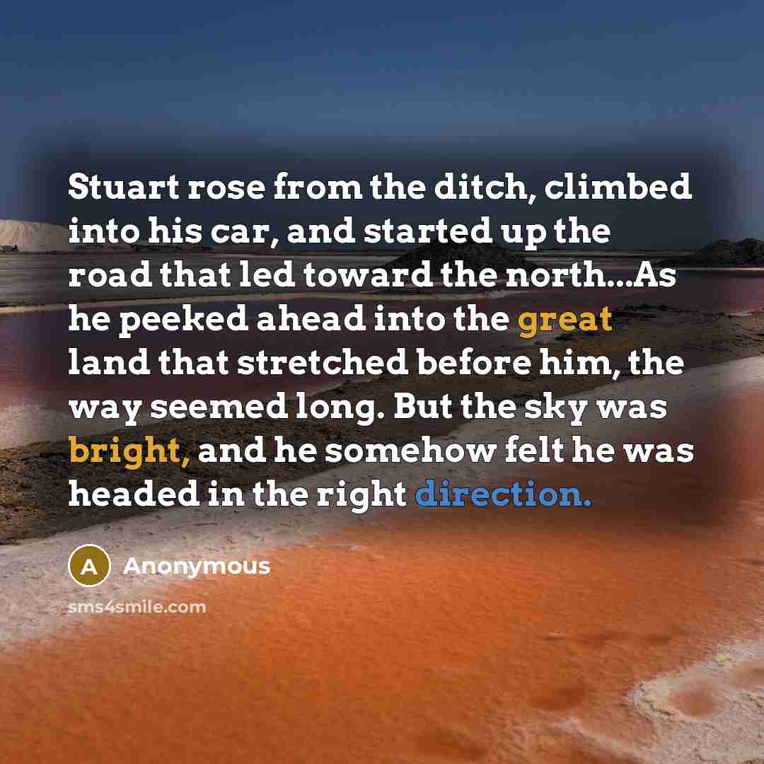 “Stuart rose from the ditch, climbed into his car, and started up the road that led toward the north...As he peeked ahead into the great land that stretched before him, the way seemed long. But the sky was bright, and he somehow felt he was headed in the right direction.” quote by Anonymous