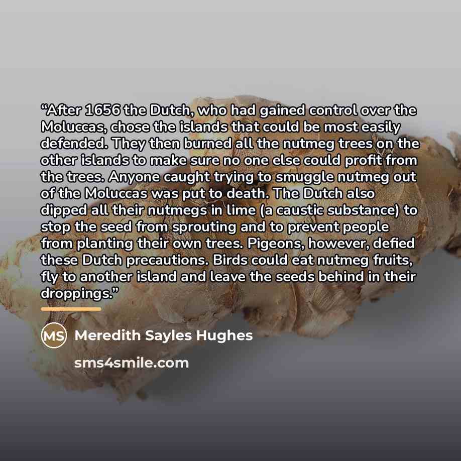 “After 1656 the Dutch, who had gained control over the Moluccas, chose the islands that could be most easily defended. They then burned all the nutmeg trees on the other islands to make sure no one else could profit from the trees. Anyone caught trying to smuggle nutmeg out of the Moluccas was put…” quote by Meredith Sayles Hughes