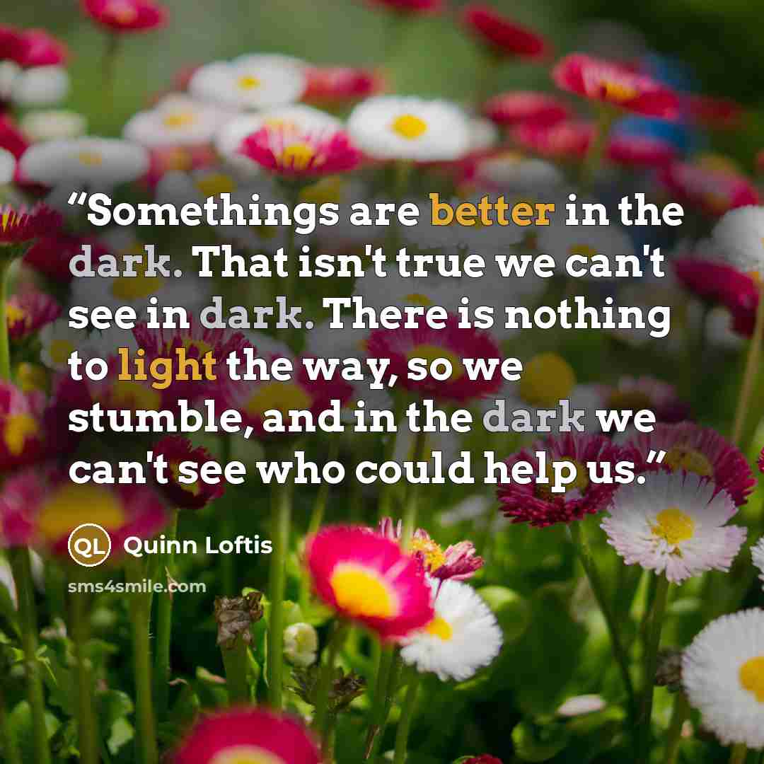 “Somethings are better in the dark. That isn't true we can't see in dark. There is nothing to light the way, so we stumble, and in the dark we can't see who could help us.” quote by Quinn Loftis