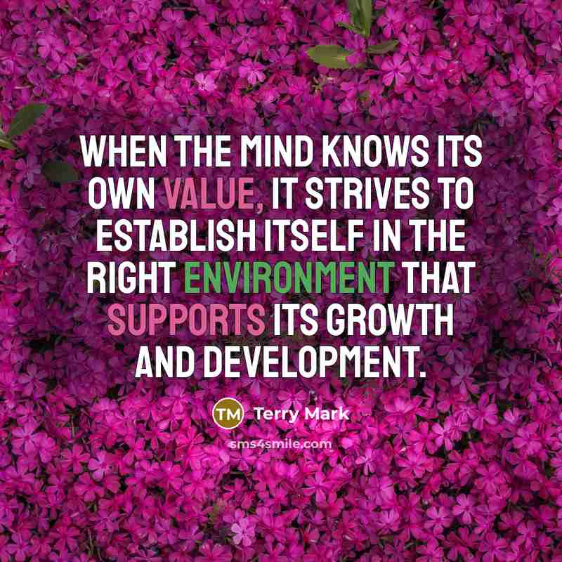 “When the mind knows its own value, it strives to establish itself in the right environment that supports its growth and development.” quote by Terry Mark